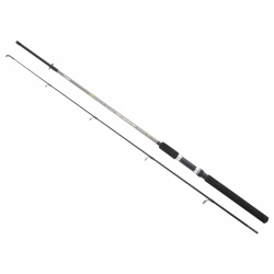 Lanseta Sert Fish Instinct FW20 2.40m 20-50gr Spincast